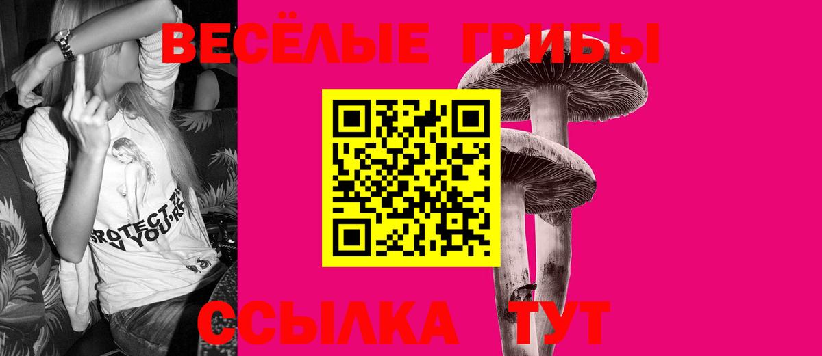 Псилоцибиновые грибы Psilocybe Ноябрьск